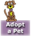 Adopt a pet, Groups known by You Dirty Dog Mobile Dog and Cat Grooming services