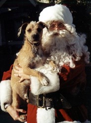 santa with a rescued baja dog